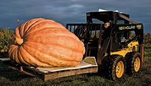 The Great Pumpkin Science Smithsonian