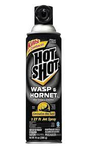 Top 4 Best Wasp Killers From 5 To 18 In 2021