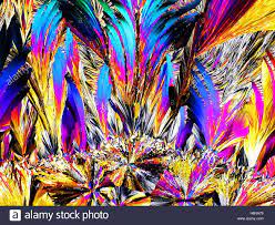 Image Result For Polarized Light Microscope Images Microscopic Photography Microscopy Microscopic Images