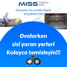 Miss Diyarbakir Temizlik Sirketleri Panosundaki Pin