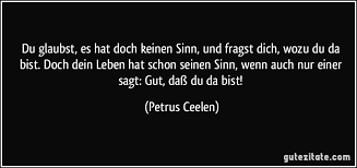 Alles im leben hat einen sinn. Du Glaubst Es Hat Doch Keinen Sinn Und Fragst Dich Wozu Du Da