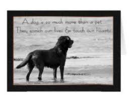Dog Sympathy Cards Poems Quotes Dog Sympathy Dog Sympathy Card Pet Sympathy