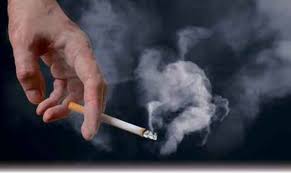 Di masa lalu, ikan belida pun banyak dimasak pindang, ketika jenis ikan ini masih banyak dijumpai dan harganya dibuat dengan memanfaatkan daging ikan patin. Rokok Ancaman Di Tempat Kerja