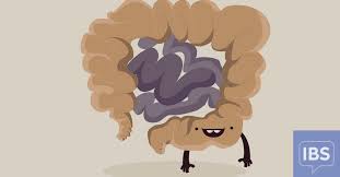 Fatigue, bloating, constipation and feeling full after eating small amounts can be common in ibs, but they could also be early warning signs of ovarian cancer. Conditions Similar To Ibs Do I Have Ibs Or Something Else