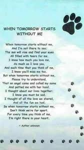 There's nothing like the unconditional love of a pet. 93 Facebook Dog Poems Pet Loss Grief Dog Quotes