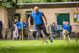 Check spelling or type a new query. Start Hundesportverein Dresden Neustadt