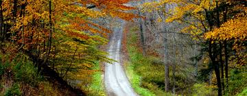 Memories of Eleanor Jean Marks