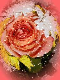 Assalam o alaikum to all muslims from all over the world. Flower Gif Id 85519 Gif Abyss