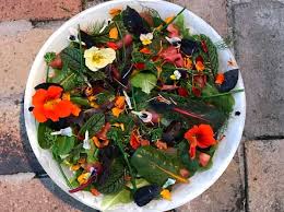 Check spelling or type a new query. 5 Edible Flowers To Grow Cook Crop Swap Australia