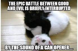 Funny pictures, videos and stories. Thirty Five Humorous Caturday Memes Cat Memes Funny Animal Jokes Cat Memes Evil Cat
