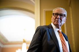 House Democrats fume at Schumer in closed-door meeting