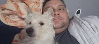 Lost blonde kelpie in Yandina