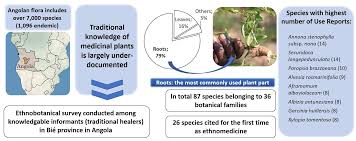 Image result for Psychotria eminiana