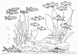 Complete Fish Tank Coloring Page Netart Fish Sketch Coloring Pages Fish Tank