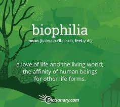 Vellostar The Biophilia Hypothesis Also Called Bet Suggests That Humans Possess An Innate Tendency To Seek Connections With N Cool Words Word Of The Day Words