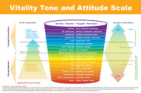 vitality tone and attitude scale citizen of earth