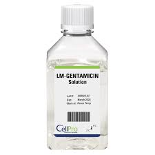 Image result for Gentamicin