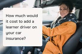 How much would it cost to add a learner driver on your car insurance? add learner driver to car insurance uk