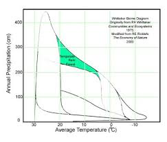 Temperate Rainforest