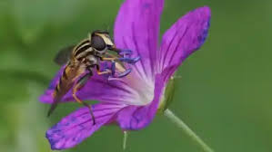 OHZ LIVE-Fotowettbewerb in Osterholz: Gewinnerinnen stehen fest