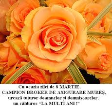 Campion broker de asigurare, judetul mures: Acasa Campion Broker De Asigurare Mures