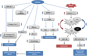 Calcium channel blockers should be taken with food or milk. Intracellular Calcium And Viruses Page 2 Phoenix Rising Me Cfs Forums