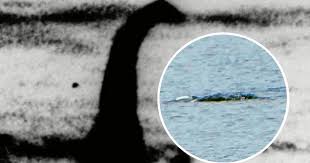 Loch Ness monster pictures 'most compelling evidence yet' | The National