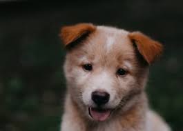 We Know Which ATEEZ Member You Are Based On These Questions