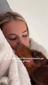 A special bond🩷 #miniaturedachshund #girldog #dachshund #dachshundpuppy  #love #dogtok #fyp #creatorsearchinsights