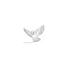 Coloring Pictures Of Harry Potter Found On Polyvore Hogwarts Tattoo Realistic Owl Tattoo Hedwig Tattoo