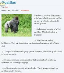 Students Can Research 5 Interesting Facts About Gorillas To Present To Their Classmates On A Poster Or One And Only Ivan 3rd Grade Chapter Books Teaching Fun