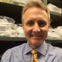 800+ perfiles de «Fellinger»