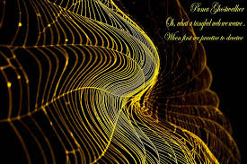 Spider And Spider Web Project Oh What A Tangled Web We Flickr
