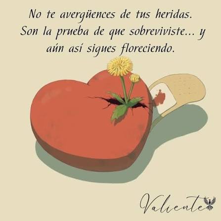 ❤️Tus heridas no te definen, pero sí hablan de tu fortaleza. Cada cicatriz  que portas es un testimonio de que elegiste vivir, sentir y seguir  caminando. No hay debilidad en haber sufrido,