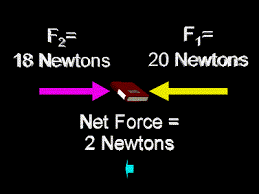 Net Force Zona Land Education