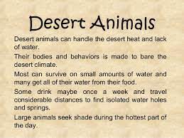 Desert Animals