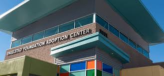 These adorable pups are available for adoption in las vegas, nevada. Locations Hours Ç€ The Animal Foundation