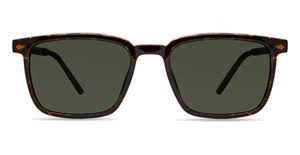 FORREST SUN CLIP Sunglasses Frames by ECO