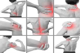 Le cartilage est un matériau lisse et luisant qui tapisse les articulations et permet à leurs surfaces de glisser facilement lorsque vous faites un mouvement. Soigner L Arthrose Au Naturel