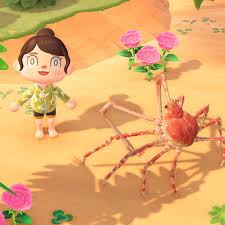 These will be scattered along the beach on the day after shooting stars fall. Animal Crossing New Horizons New Sea Creatures Make The Best Pets Polygon