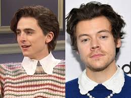 This article is a stub. Timothee Chalamet Impersonated Harry Styles On Snl And Fans Can T Get Enough Mondialnews