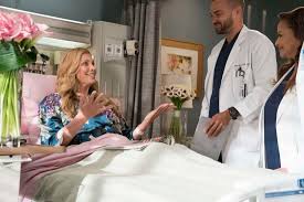 Saison 1 saison 2 saison 3 saison 4 saison 5 saison 6 saison 7 saison 8 saison 9 saison 10 saison 11 saison 12 saison 13 saison 14 saison 15 saison 16 saison 17. Grey S Anatomy Season 14 Episode 16 Photos Caught Somewhere In Time Seat42f