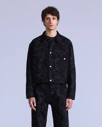 Image result for Sutera levis