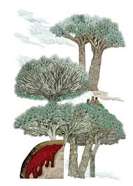 Croton, dracaena, daemonorops, calamus rotang and pterocarpus. Dragon S Blood Tree Heirloom Gardener