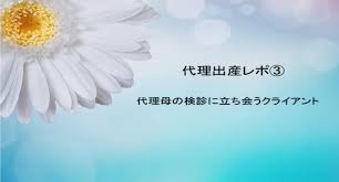 代理出産レポ 代理母の検診に立ち会うクライアント ミラクルベビー