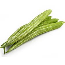 स्नेकगार्ड