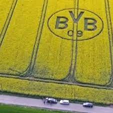 We did not find results for: Borussia Dortmund Irre Fan Aktion Mega Logo In Rapsfeld Derwesten De