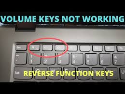 You can unlock your asus laptop keyboard either by turning off the filter keys, turning off the numlock, and updating or reinstalling your . Volume Buttons On Asus Laptop Not Working Jobs Ecityworks