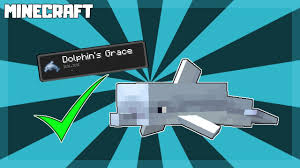 What Do Dolphins Eat? - Whale & Dolphin Conservation Usa