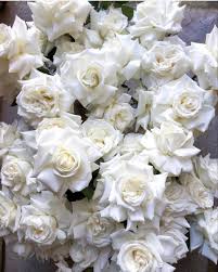 Where can i buy lotus flowers near me. White Wedding Flowers Wedding Flower Types White Wedding Flowers Wedding Flowers